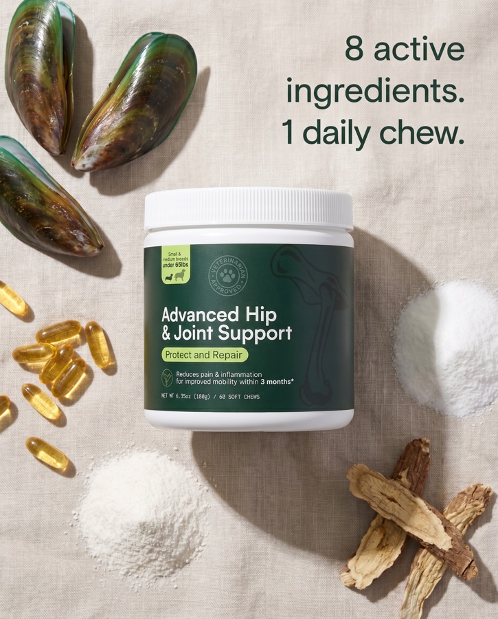The same product in an ingredient flat-lay